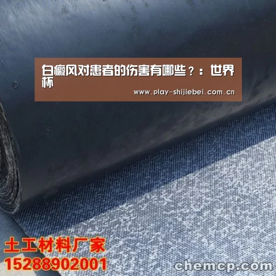 世界杯直播